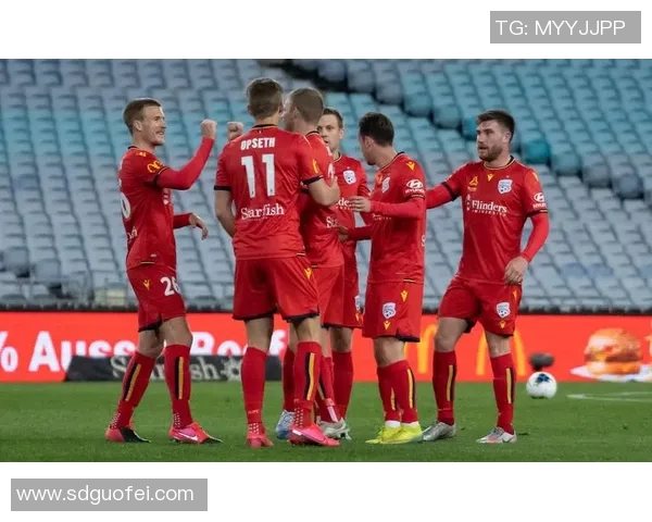 足球比赛阿拉直播视频下载全攻略让你不错过每一场精彩赛事 足球比赛阿拉直播视频下载全攻略让你不错过每一场精彩赛事