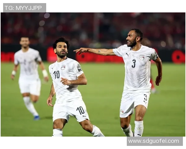 埃及与哥伦比亚足球对决精彩回顾与战术分析