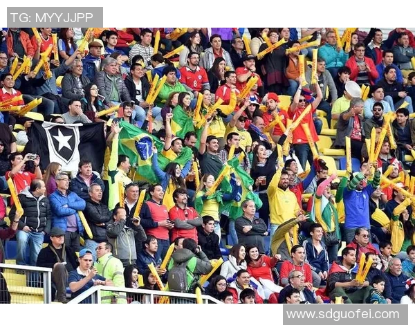 丹麦与比利时激战正酣足球盛宴引发球迷热情四溢