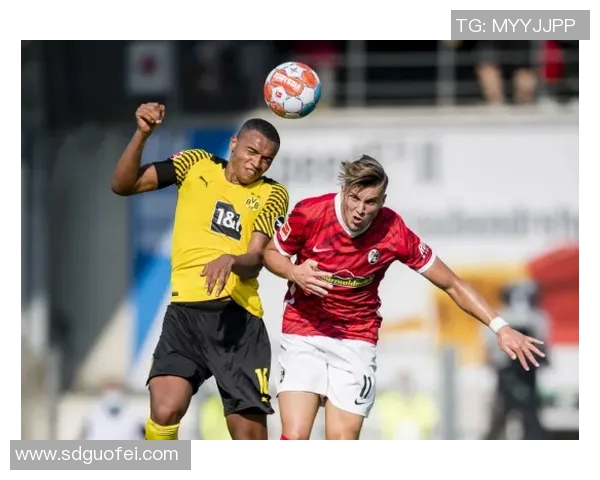 多特蒙德与弗莱堡在线直播全程回顾及精彩瞬间分析