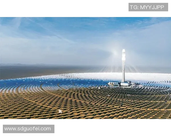 洪明浦：探索新时代科技创新与可持续发展的融合之路