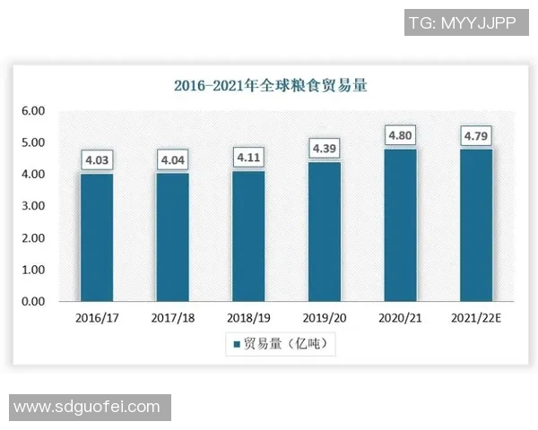 深入解析伯德条款对国际贸易与投资的影响及其未来发展趋势